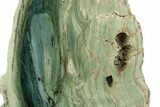 Freestanding Gary Green Jasper (Larsonite) Bog Wood - Oregon #377787-1